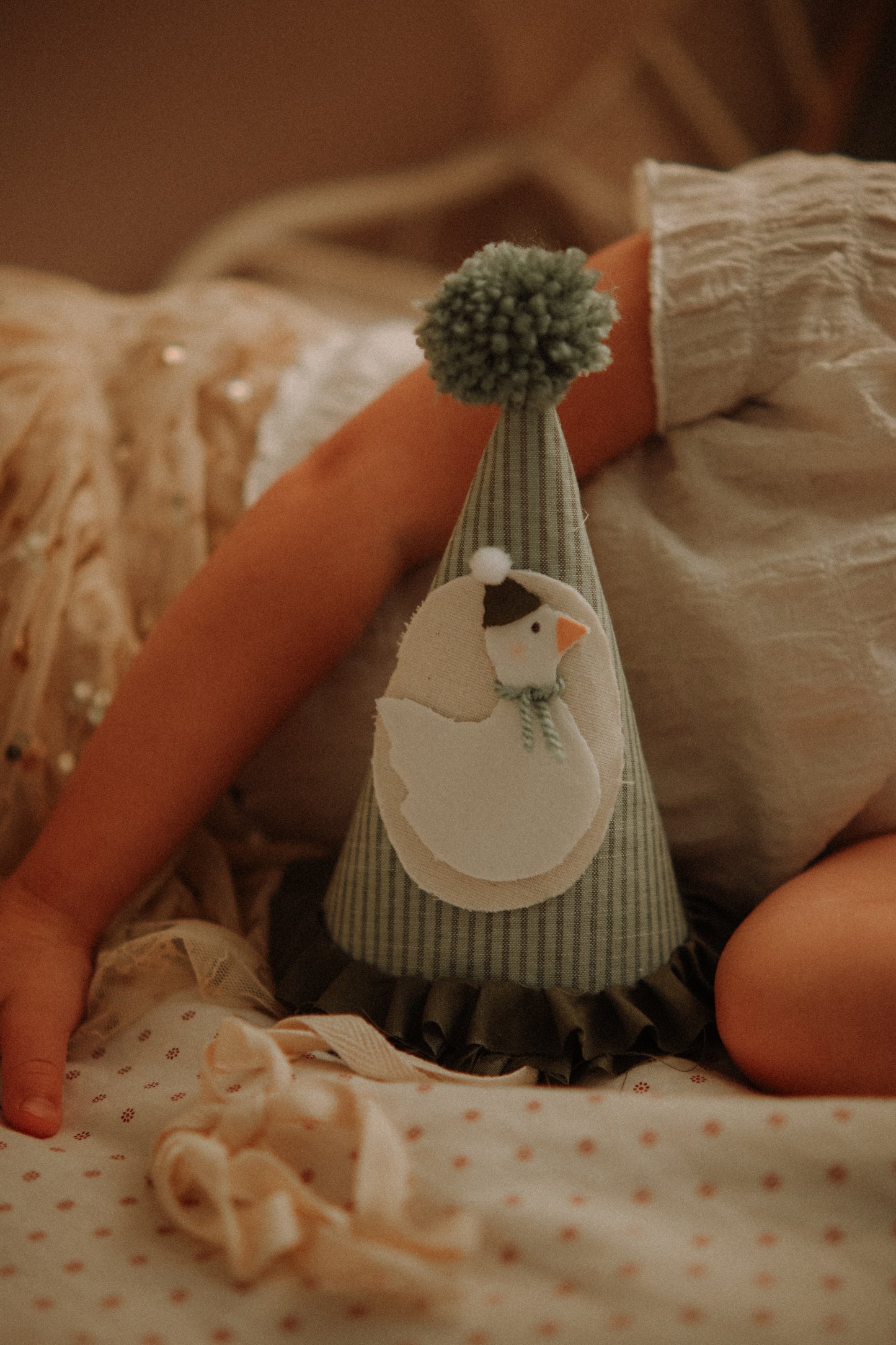 Goose Birthday Hat First Birthday Crown Circus Birthday Party Hat Baby Birthday Outfit Cake Smash Hat
