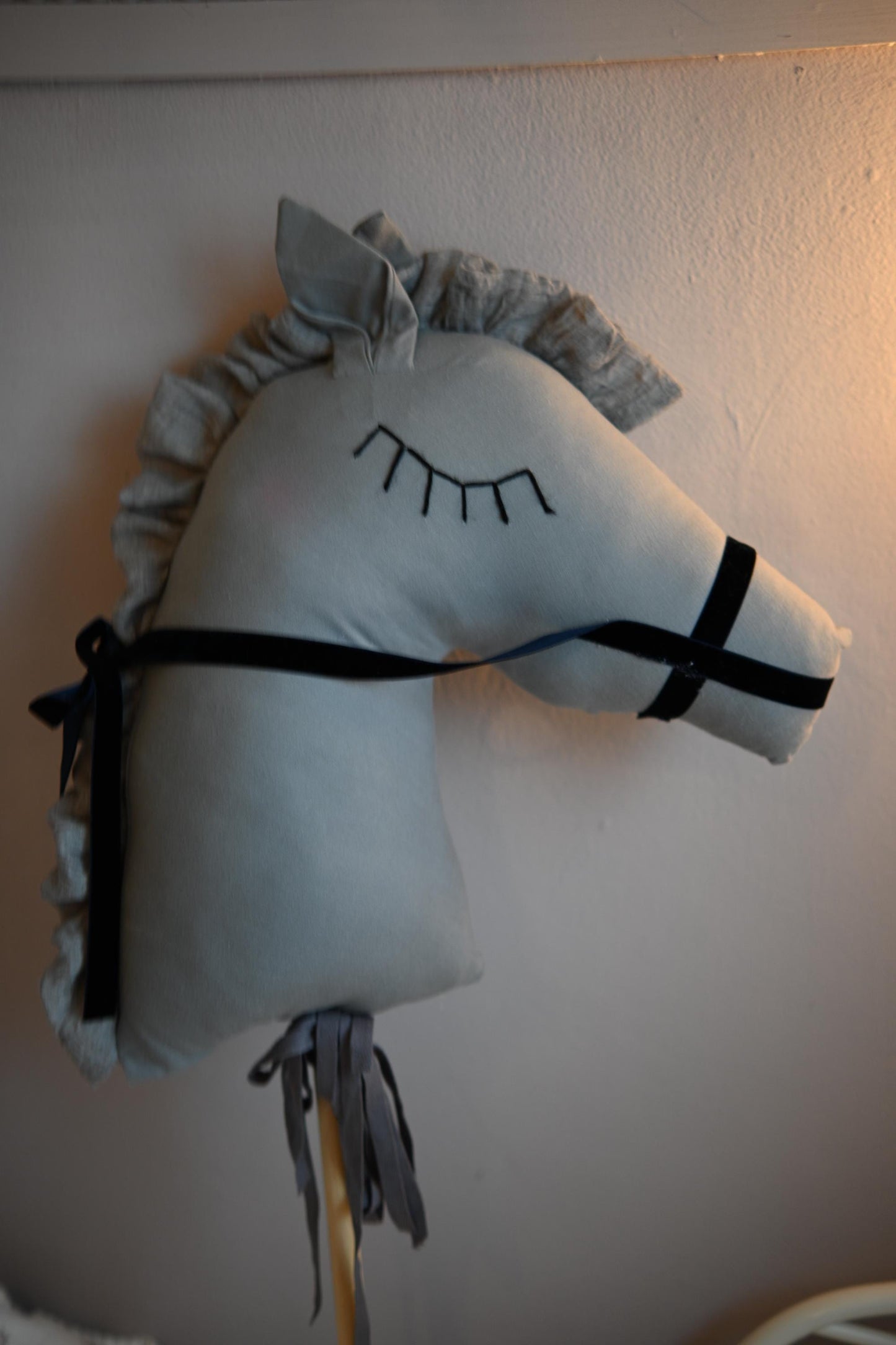 Hobby Horse for Boys, Interactive Riding Stick Toy