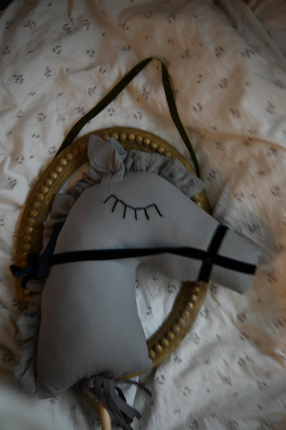 Hobby Horse for Boys, Interactive Riding Stick Toy